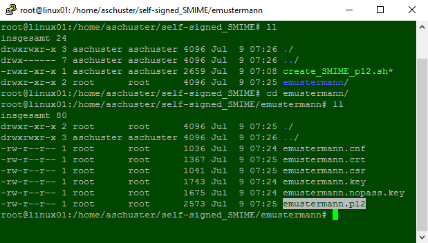 Mit OpenSSL erstellter S/MIME Schlüssel und X.509 Zertifikat in einer .P12/.PFX Datei