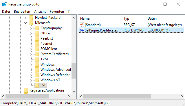 BitLocker To Go notwendige Registry Änderung für selbstsignierte Zertifikate